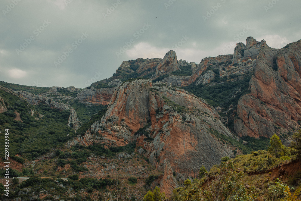 Fototapeta premium Wonderland