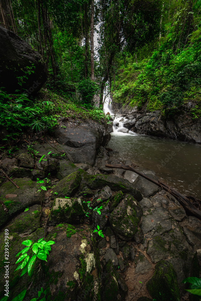 Waterfalls in the rainforest photographed in Khao Yai National Park, Thailand.