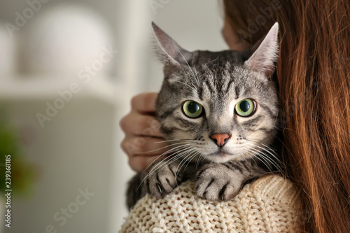 Cute cat with owner at home