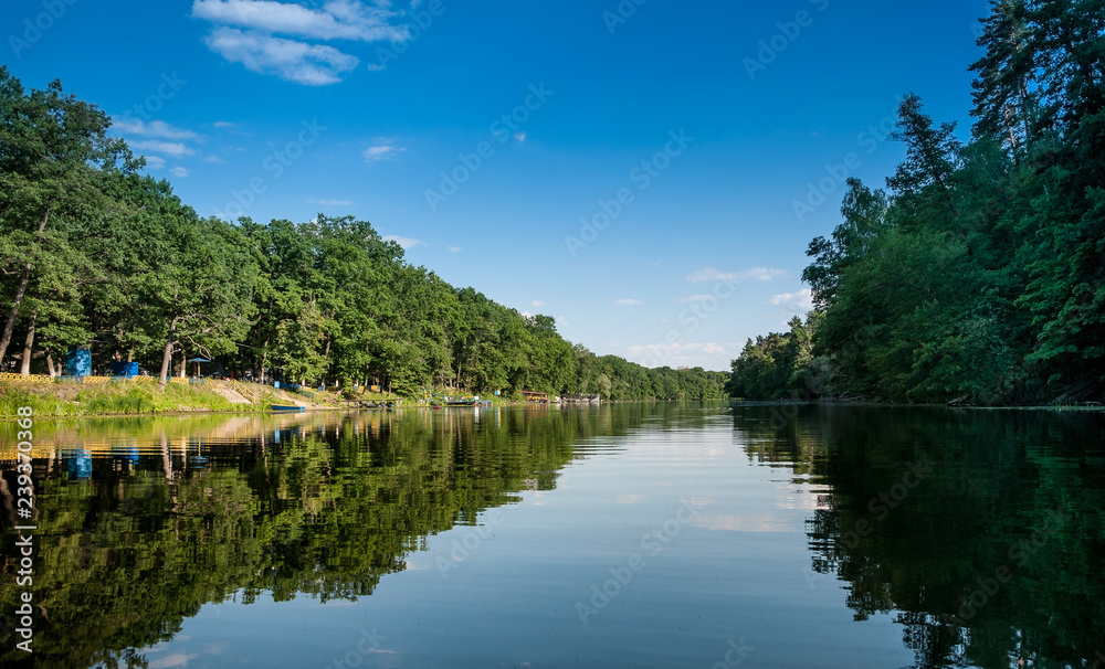 lake in the forest