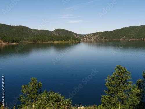 Wide shot of Pactola Lake in the Black Hills of South Dakota  USA  framed young trees in the foreground.