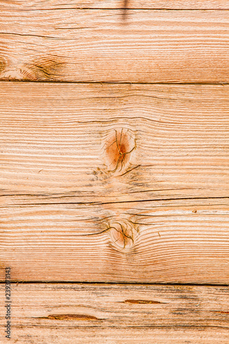 Texture natural wood background