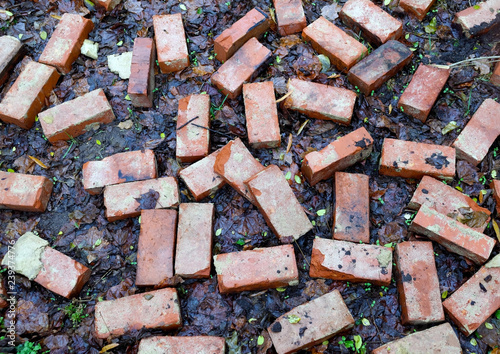 Randomly scattered bricks on wet leaves.
