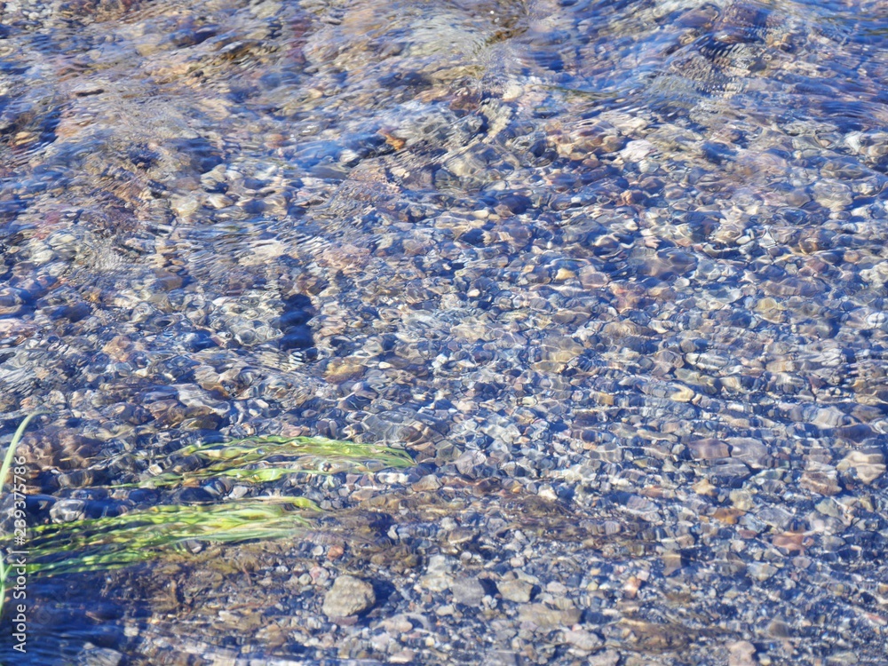 Close up of clear clean water in a stream with a rocky bottom