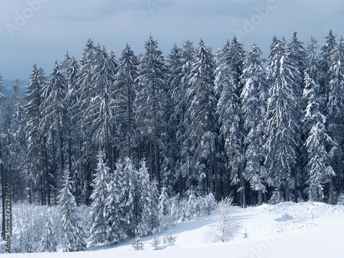 Winterlandschaft. Gersbach in Schwarzwald photo