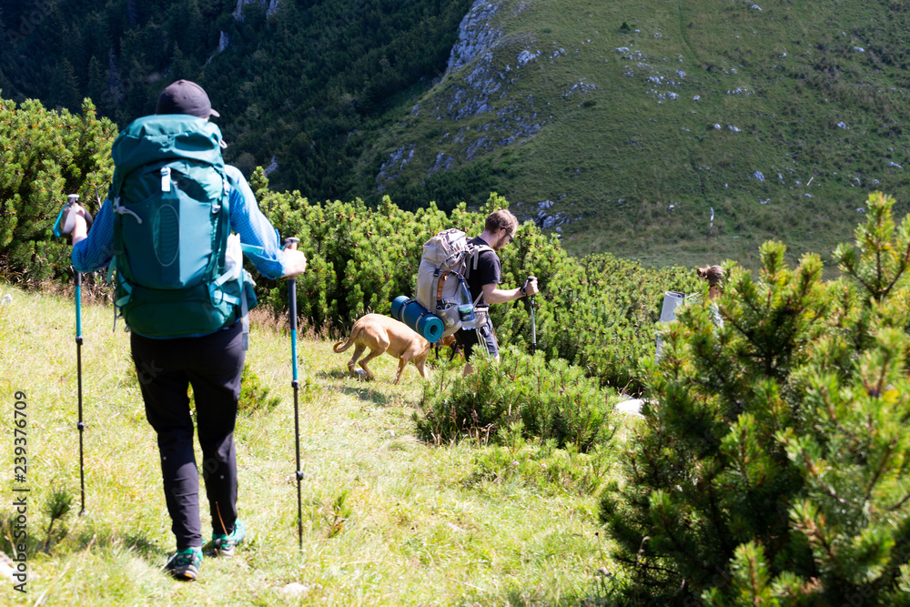 Group of friends hiking through Buila Vanturarita National Park in Romania