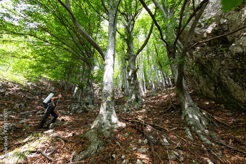 Group of friends hiking through Buila Vanturarita National Park in Romania photo