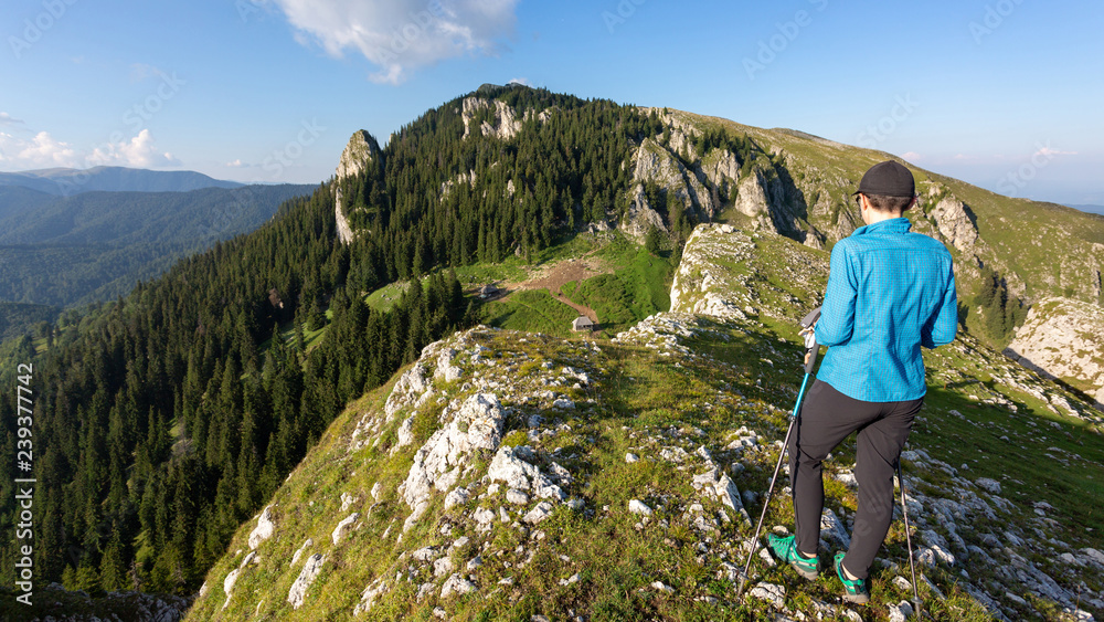 Girl hiking through the Buila Vanturarita national park in Romania on a sunny summer day