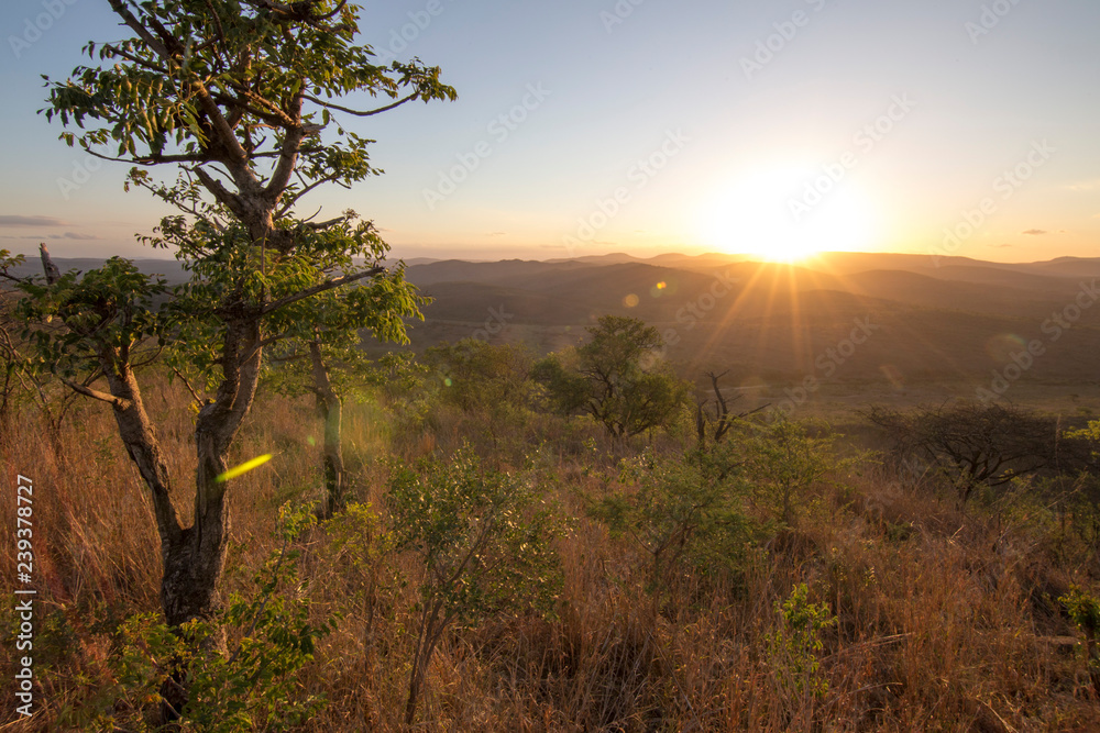 Obraz premium South Africa, sunset in hluhluwe park