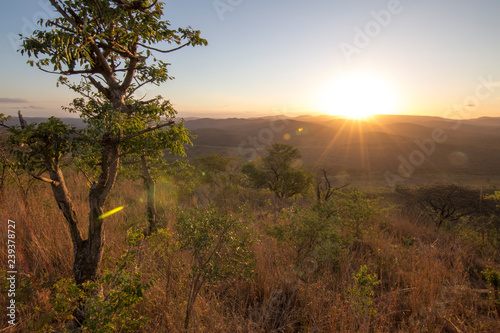 South Africa  sunset in hluhluwe park