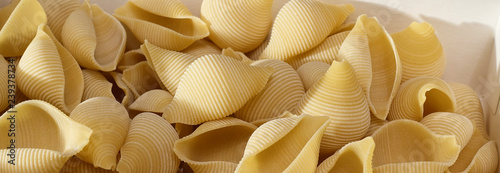 Pasta in the form of shells close-up. Culinary Background