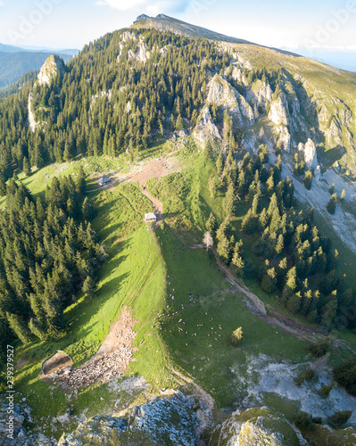 Fototapeta Naklejka Na Ścianę i Meble -  Aerial view of the beautiful Buila Vanturarita national park in Romania