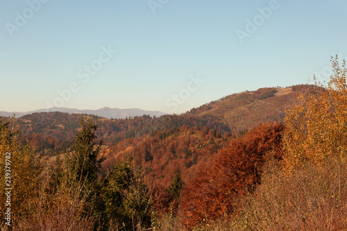 Beautiful mountain landscape with blue sky on sunny day © New Africa