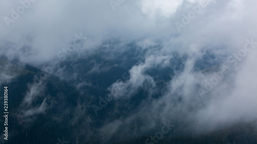 Summer day with dense fog in Fagaras mountains in Romania © Andrei