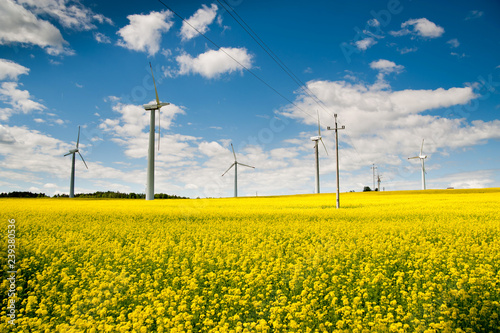 Ecological wind farm on a yellow rape field on a background of blue sky