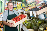 Smiling male employee showing natural tomatos
