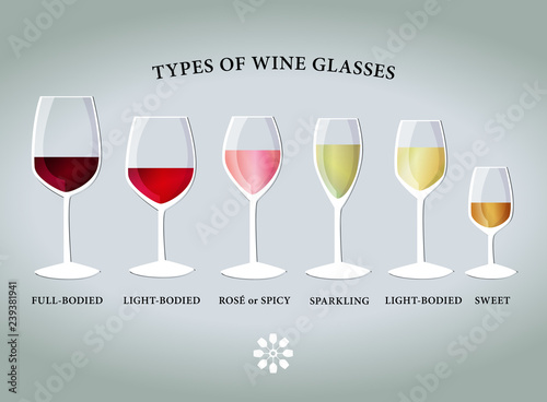 Types of proper wine glasses. Vector drawing.