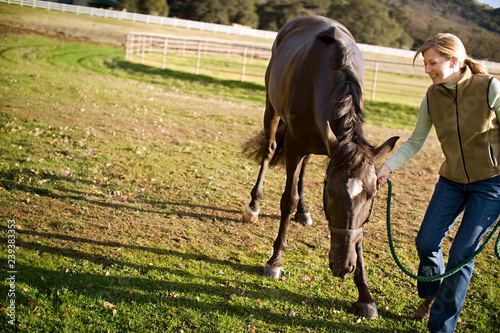 Young adult girl standing with a horse in a field. photo