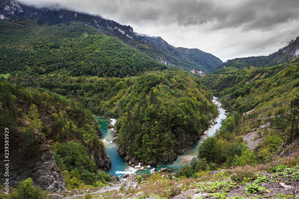 canyon of a mountain river, photographing from above, aerial view, Montenegro, Tara river,