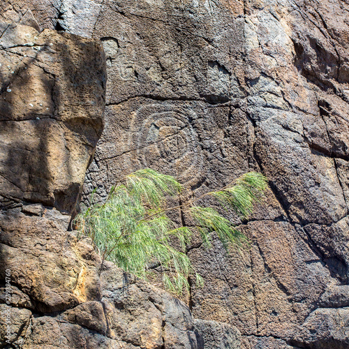 Kanak petroglyphs on a shore near Canala and Nakety, North Province of New Caledonia, Melanesia, Oceania. Aboriginal art. Indigenous native people traditional customary ancient old rock carvings photo