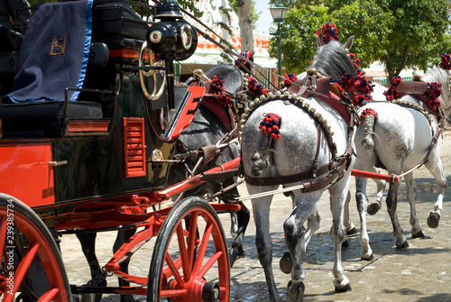 Canvas Print horses and carriages in the traditional festival of April in Seville, in Spain