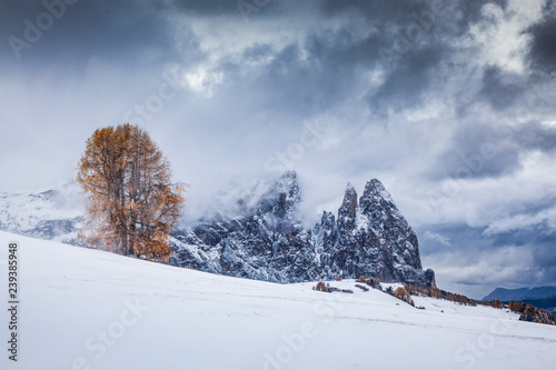 snowy early winter landscape in Alpe di Siusi. Dolomites, Italy - winter holidays destination