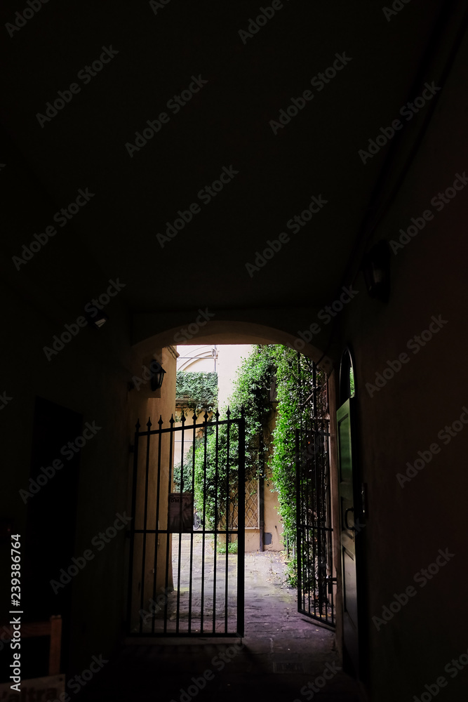 view of the plants behind the gate in the courtyard through the tunnel dark arch