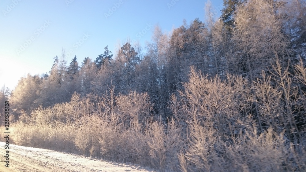 Winter in Ural 22