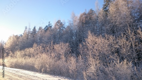 Winter in Ural 22 © Елена Худякова