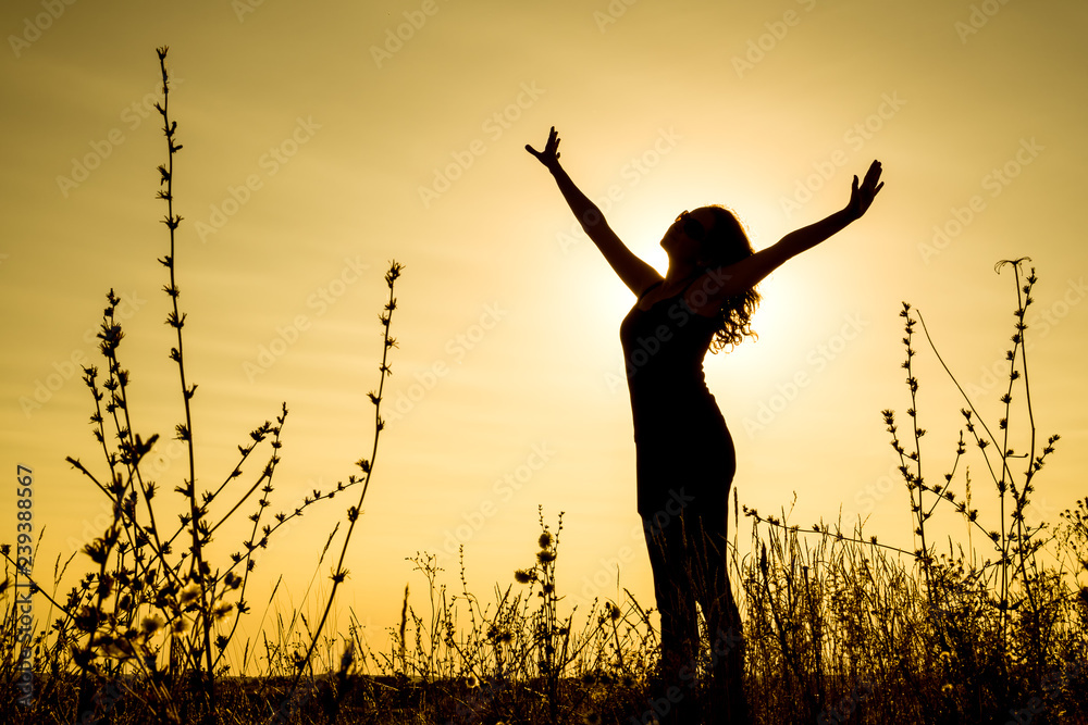 A beautiful Oriental girl stands with open arms against the background of a yellow sunset in a field among the plants. Horizontal orientation of the image