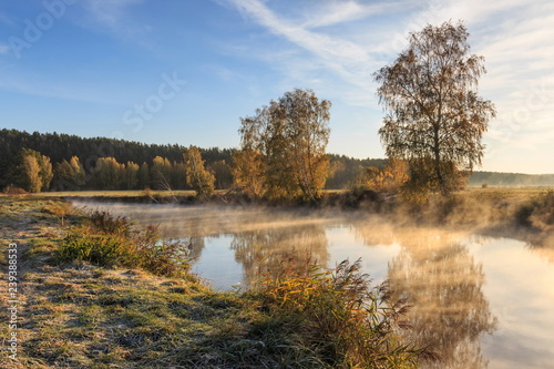 trees and grass in the frost by the river