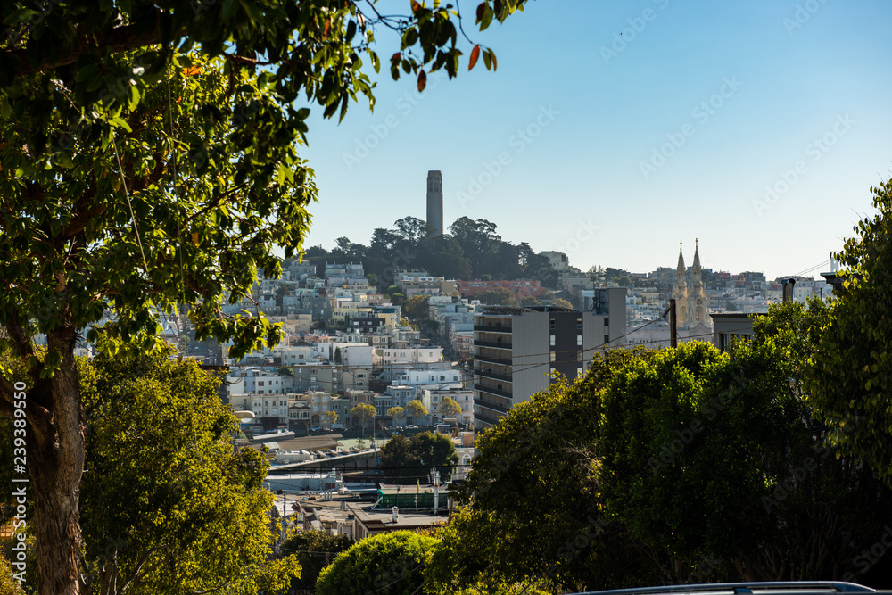 The Coit Tower from a high point on Lombardt Street, San Francisco