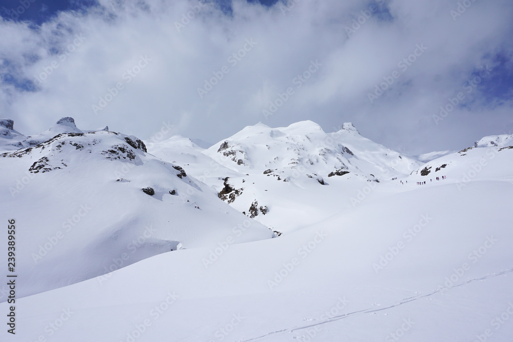 Nieve