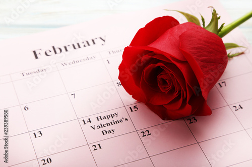 Red rose and calendar on february