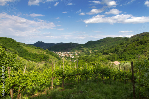 Panorami dei Colli Euganei  Veneto