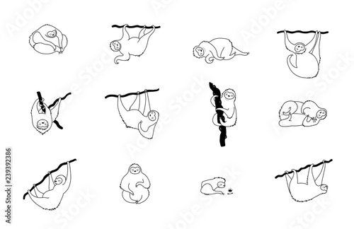 Vector illustration of cute character sloth