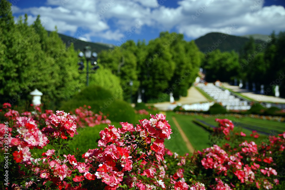 Palace and the Gardens of the La Granja de San Ildefonso Castle, Segovia, Spain, Europe Palace and the Gardens of the La Granja de San Ildefonso Castle, Segovia, Spain, Europe