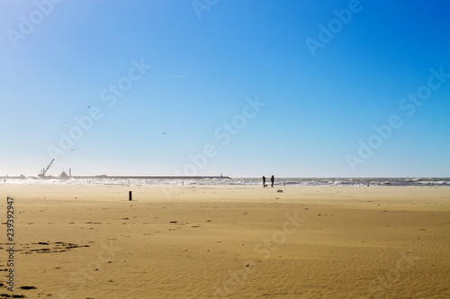 Песчаный пляж в ветряную погоду