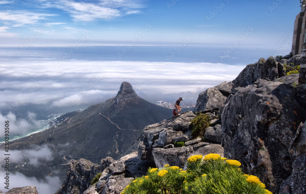 Naklejka premium From Table Mountain