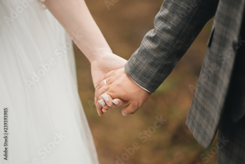 wedding photo. Hands of bride and groom