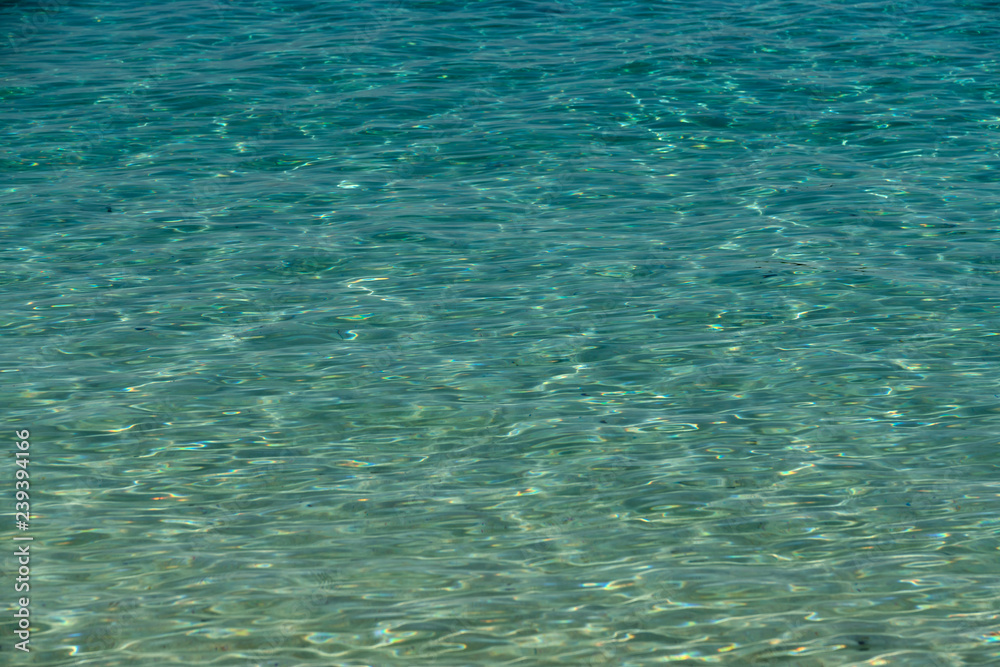 Φωτογραφία The clear water of the tropical sea shimmers under sunlight of emerald color