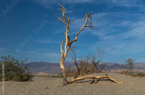 Impression of Death Valley