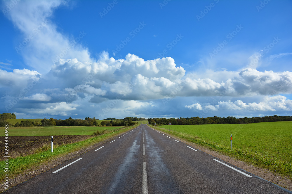 Two-lane asphalt country road, leaving beyond the horizon. Landscape with view of non urban driveway, green ..field, trees and blue sky with white clouds. Autumn landscape on a sunny clear day.