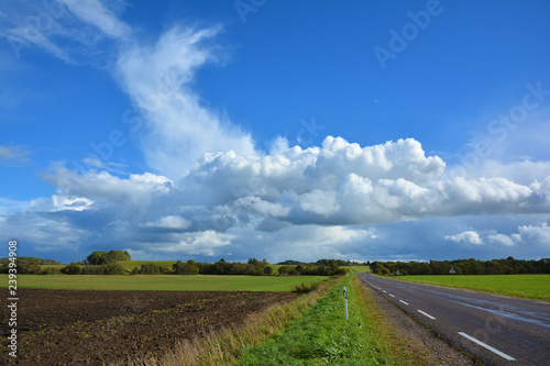 Two-lane asphalt country road, leaving beyond the horizon. Landscape with view of non urban driveway, green ..field, trees and blue sky with white clouds. Autumn landscape on a sunny clear day.