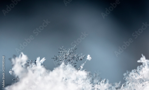 winter card, photo real snowflakes on snow