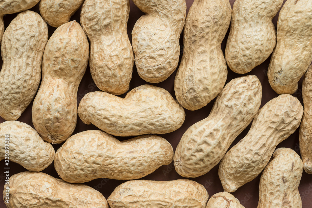 The peanut, also known as the groundnut, goober, or monkey nut, and taxonomically classified as Arachis hypogaea, is a legume crop The peanut, also known as the groundnut, goober, or monkey nut, and taxonomically classified as Arachis hypogaea, is a legume crop