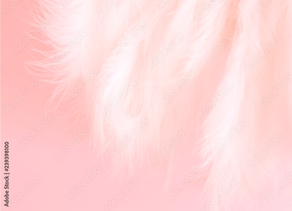 Fototapeta premium Color of the year 2019 - Living Coral .Background Pattern for your Design - feathers