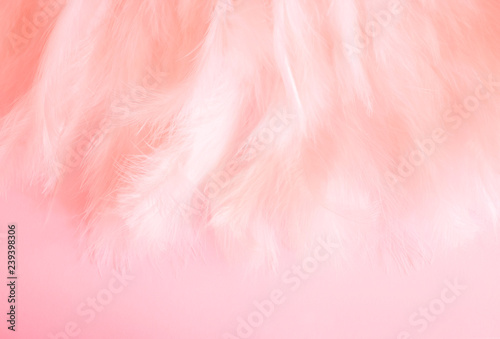 Color of the year 2019 - Living Coral .Background Pattern for your Design - feathers