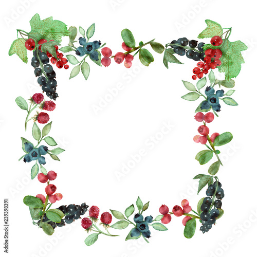 Watercolor berries, square frame with green leaves and cranberries, cherries, currants and blueberries on branches isolated on white background, hand painted berries for beautiful design.