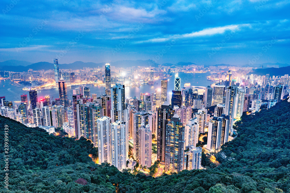Obraz premium View of the downtown of Hong Kong.